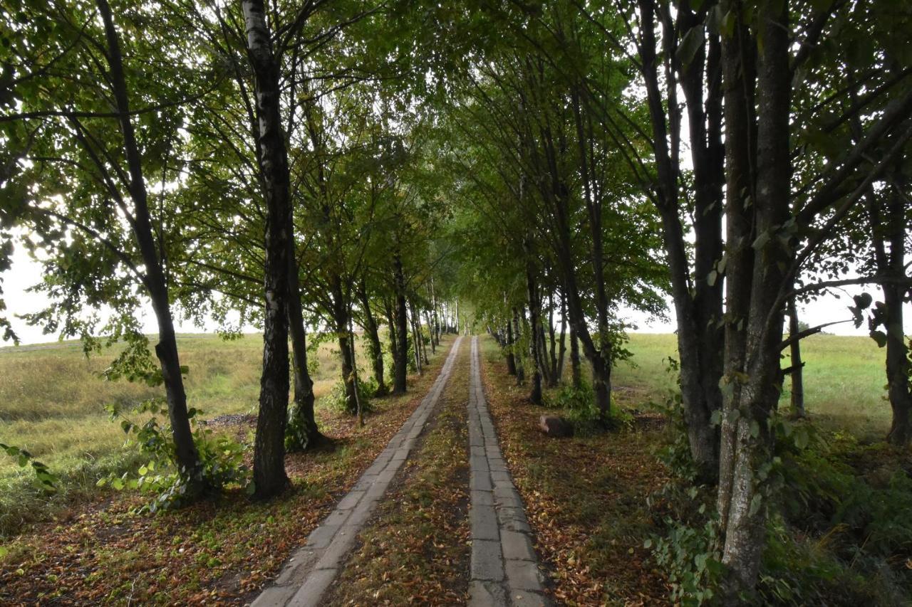 Dadaj Park Home Biskupiec  Eksteriør bilde